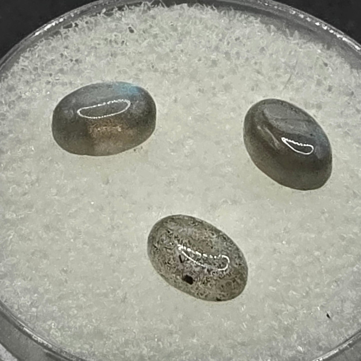 6x4mm Labradorite Cabochon