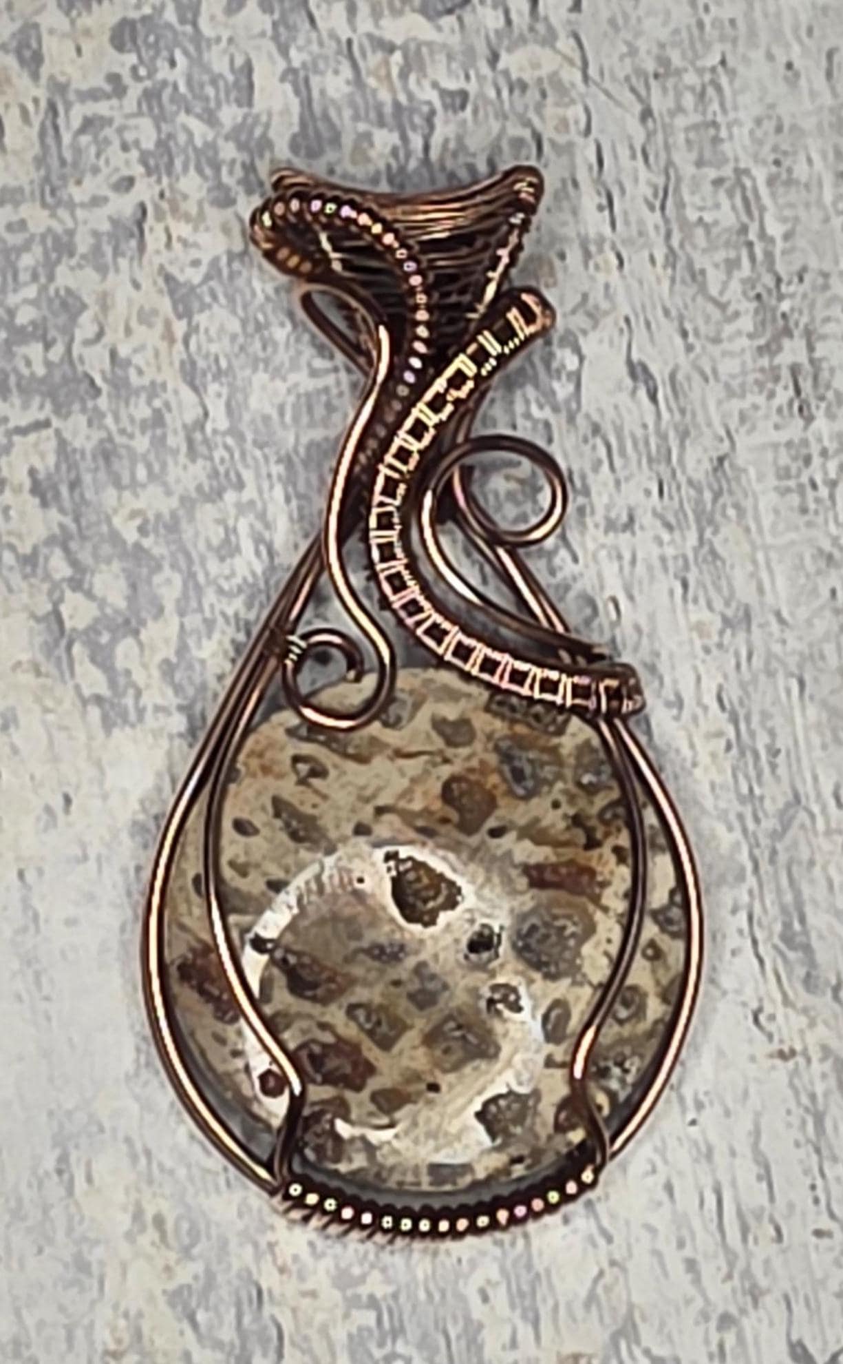 Petrified Wood Copper Wrapped Pendant: